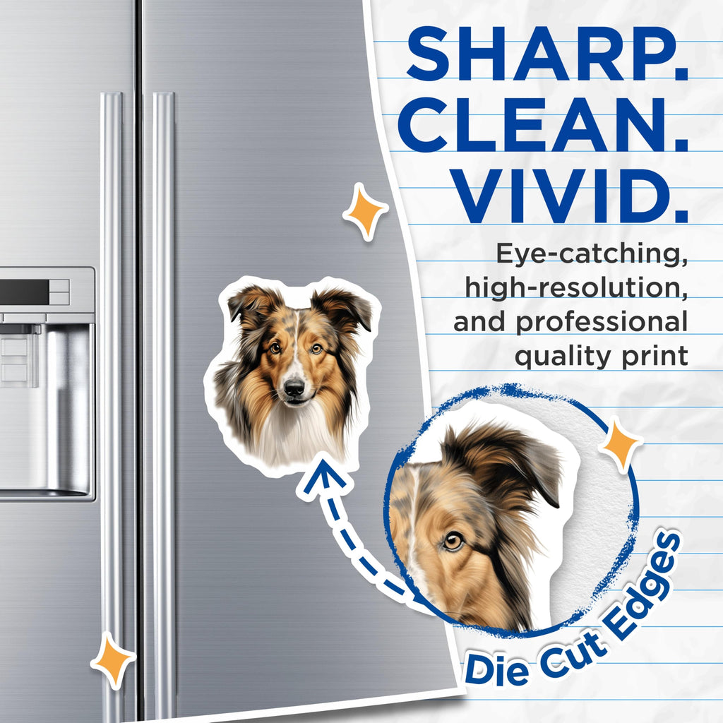 (2 Pack) Shetland Sheepdog Magnets - Sheltie Dog Art - Canine Lover Decor - Animal Breed Fridge Accessory - Pet Owner Idea - 5 Inches On Longest Side - Thick Durable Magnet - Made in USA - MAG23696
