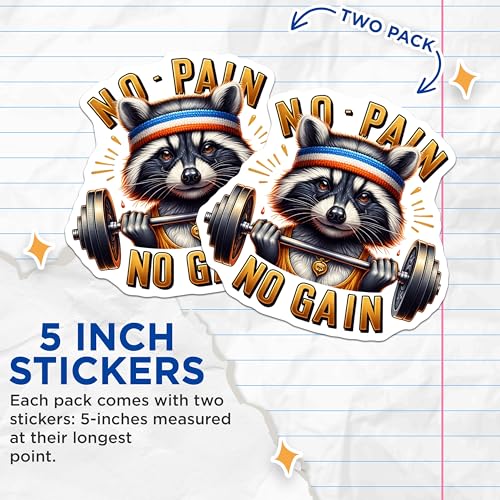 (2 Pack) No Pain No Gain Stickers - Racoon Gym Theme Stickers - Motivational Fitness Stickers - 5" On Longest Side - Sticks to Smooth Flat Surfaces - Made in USA - BMCS4531