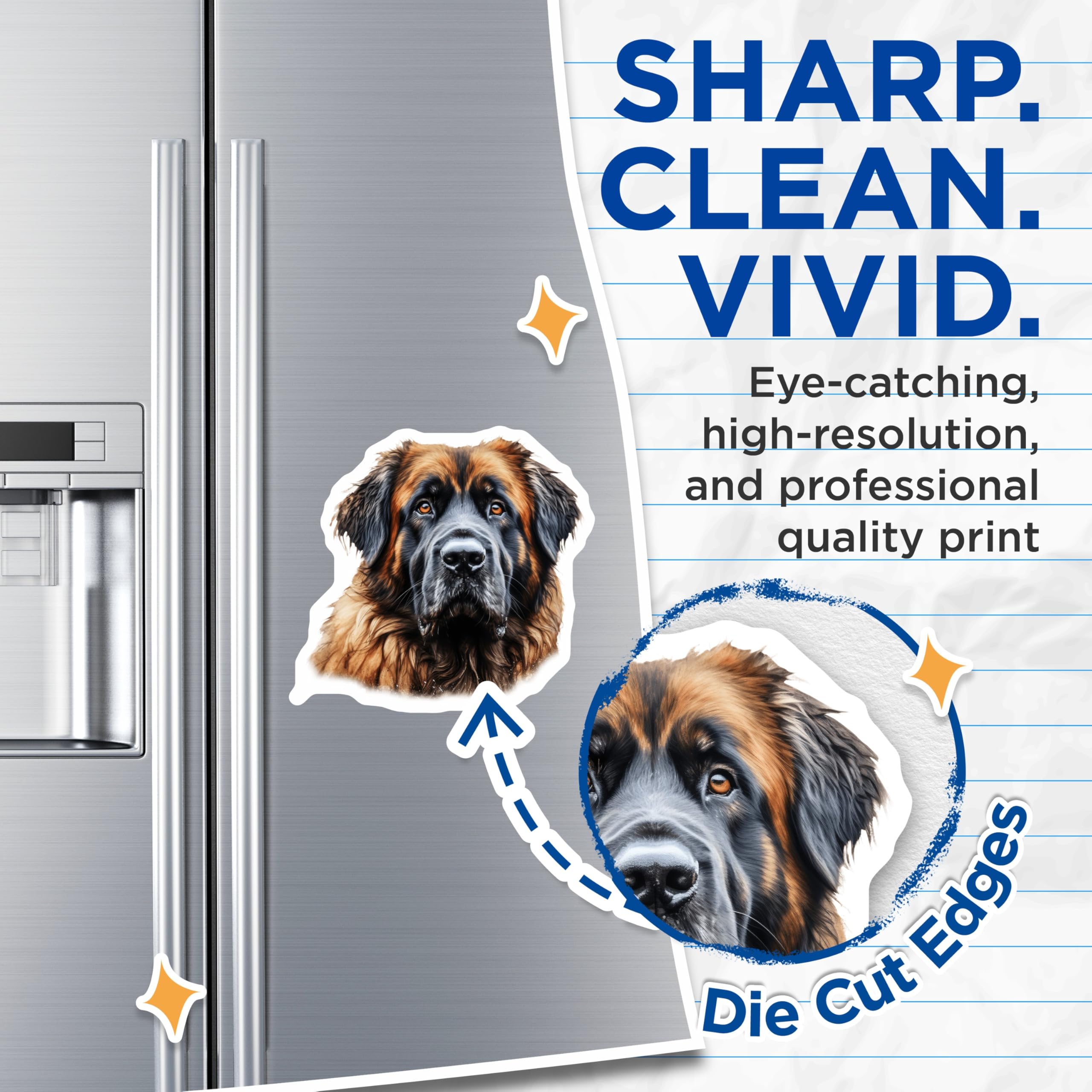 (2 Pack) Leonberger Magnets - Dog Breed Decor - Pet Lover Collectibles - 5 Inches On Longest Side - Thick Durable Magnet - Made in USA - MAG24223