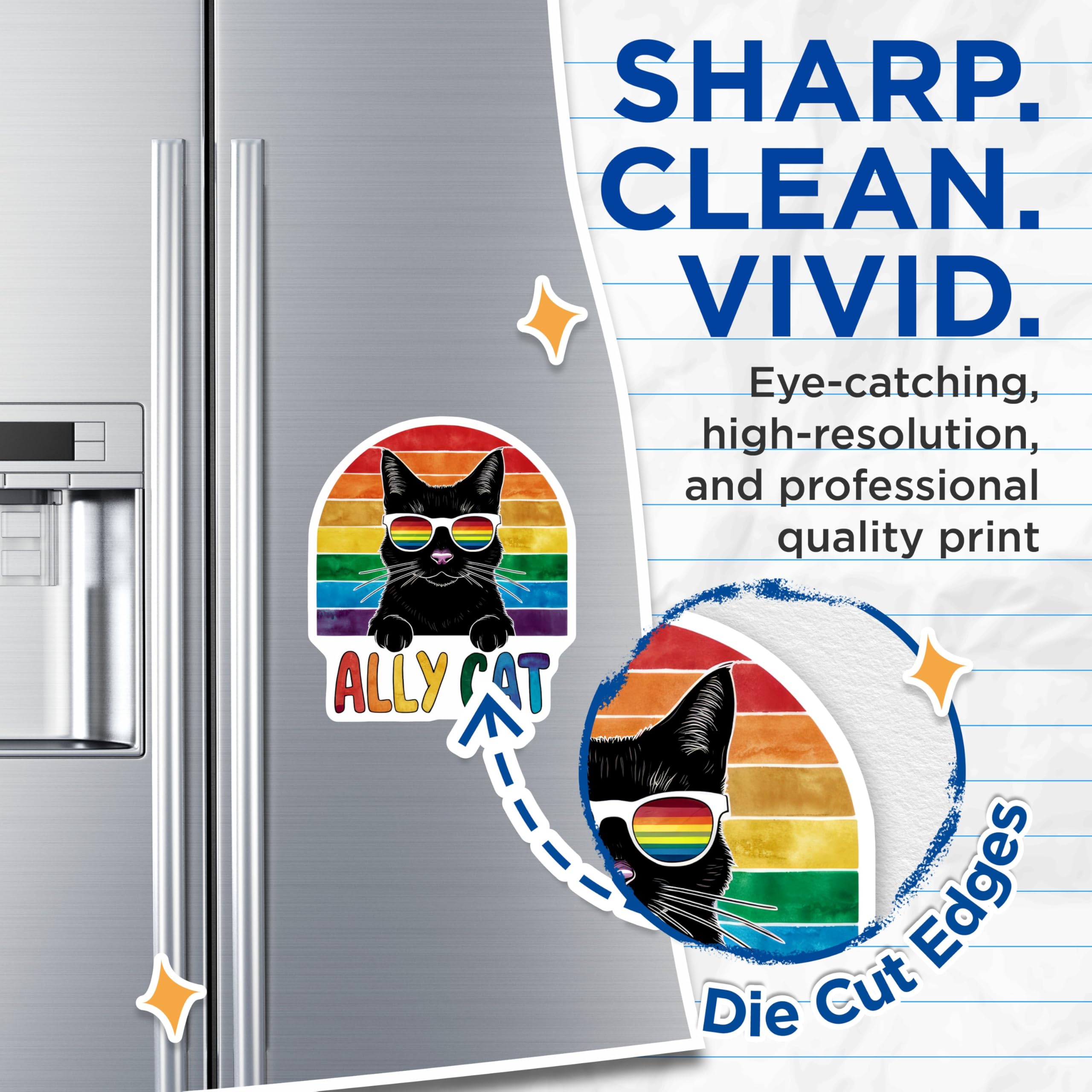 (2 Pack) Ally Cat Decor Magnet - 5" On Longest Side - Sticks to Smooth Flat Surfaces - Made in USA - MAG9546