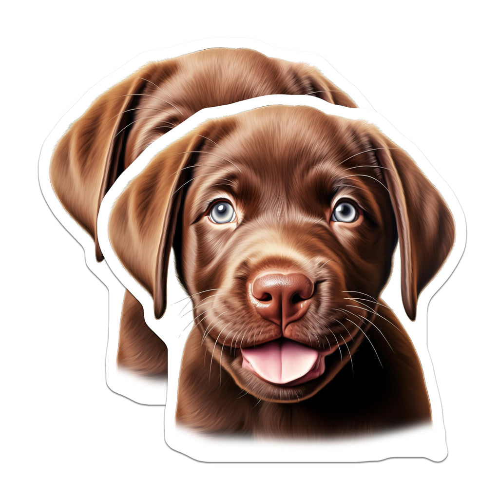 (2 Pack) Chocolate Lab Puppy Magnets - Dog Lover Kitchen Decor - Cute Puppy Enthusiast Accessory - 5 Inches On Longest Side - Thick Durable Magnet - Made in USA - MAG26117