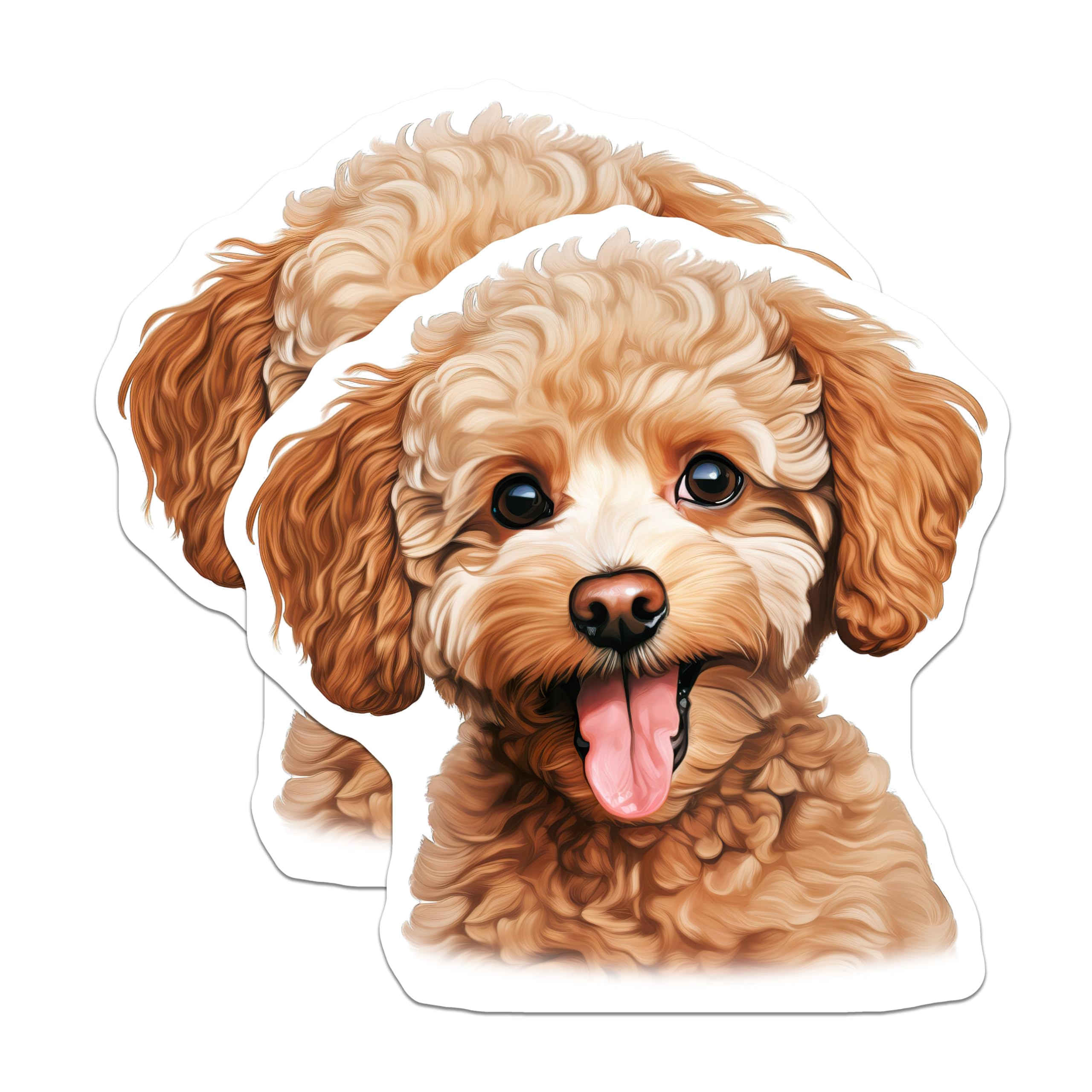 (2 Pack) Poodle Puppy Magnets - Adorable Dog Decor - Cute Pet Refrigerator Accessory - 5 Inches On Longest Side - Thick Durable Magnet - Made in USA - MAG24599