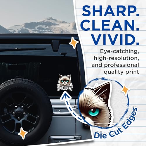 (2 Pack) Grumpy Cat Meme Stickers - Funny Cat Expression Stickers - Seriously Cat Stickers - 5" On Longest Side - Sticks to Any Smooth Flat Surface - Made in USA - BMCS2793