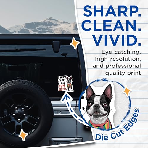 (2 Pack) Funny Dog Quote Stickers - 5" On Longest Side - Sticks to Smooth Flat Surfaces - Made in USA - BMCS8518 - BMCS8518