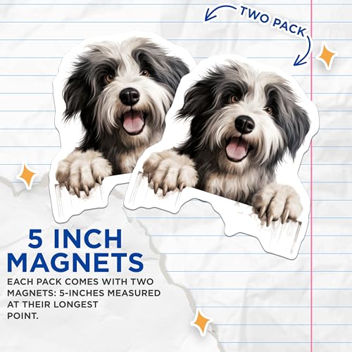 (2 Pack) Pet Lover Home Decor Magnet - 5" On Longest Side - Sticks to Smooth Flat Surfaces - Made in USA - MAG10252