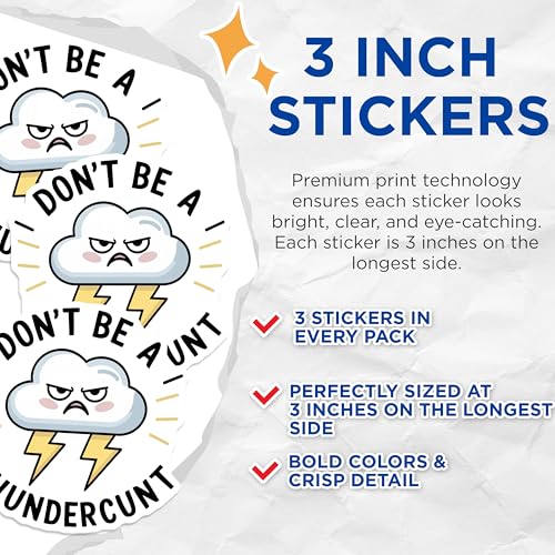 (3 Pack) Offensive Humor Decals - Sarcastic Quote - Laptop Decal - 3 Inches On Longest Side - Easy Peel & Apply - Made in USA - 3MCS7436