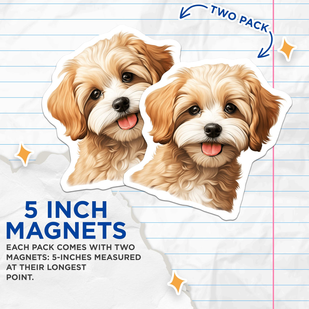 (2 Pack) Cavapoo Puppy Magnets - Cute Fluffy Dog Decor - Refrigerator Locker Magnets - 5 Inches On Longest Side - Thick Durable Magnet - Made in USA - MAG23385
