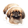 (2 Pack) Pekingese Dog Magnets - Cute Fluffy Puppy Art - Pet Lover Animal Portrait - Dog Mom Dad Fridge Decor - 5 Inches On Longest Side - Thick Durable Magnet - Made in USA - MAG26720