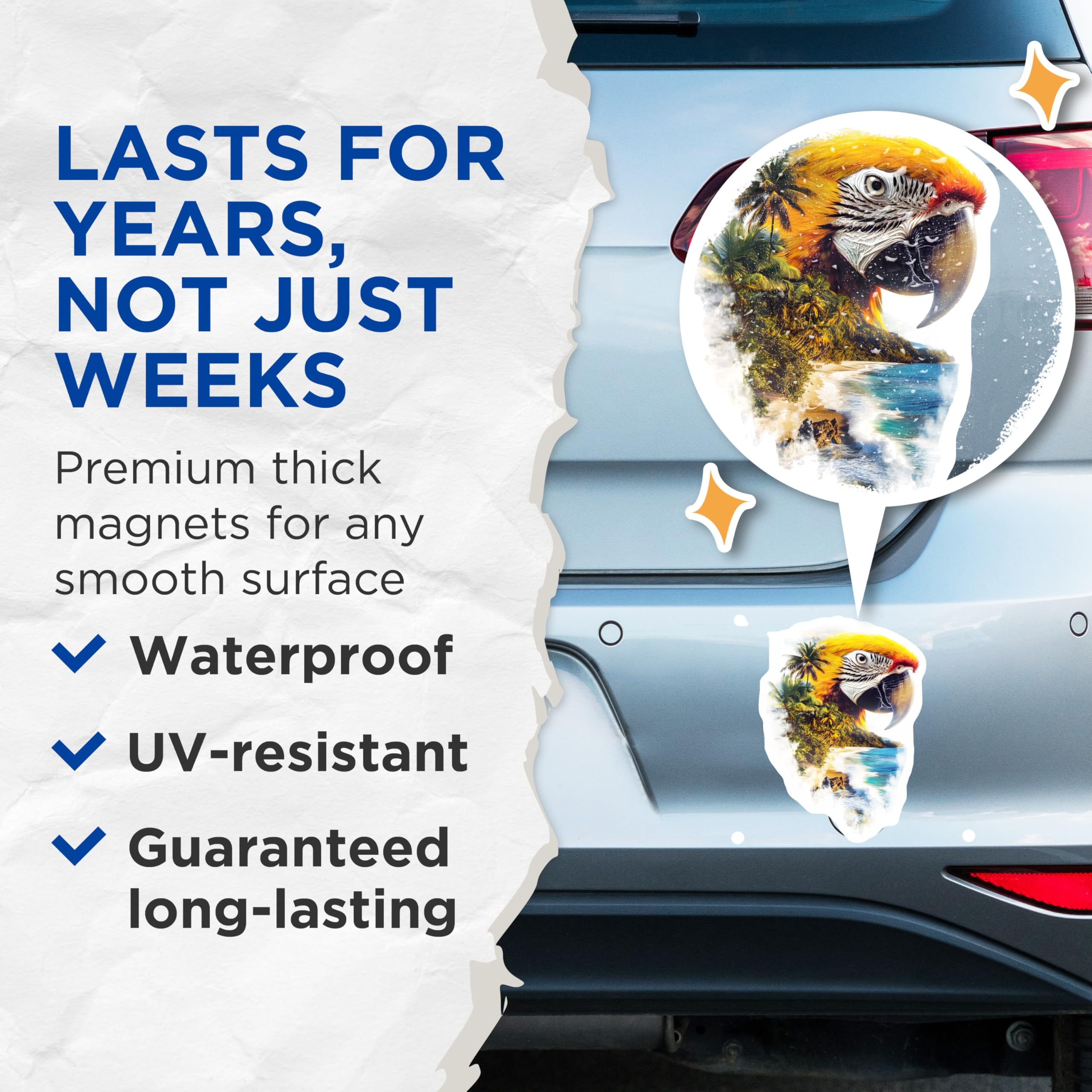 (2 Pack) Macaw Magnets - Tropical Beach Scene - Bird Lover Refrigerator Decor - 5" On Longest Side - Premium Magnet - for Cars, Refrigerators, Toolboxes, Lockers - Made in USA - MAG15878