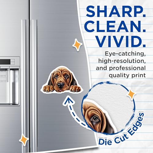 (2 Pack) Puppy Fridge Decorations Magnet - Animal Lover Gifts - 5" On Longest Side - Sticks to Smooth Flat Surfaces - Made in USA - MAG9875