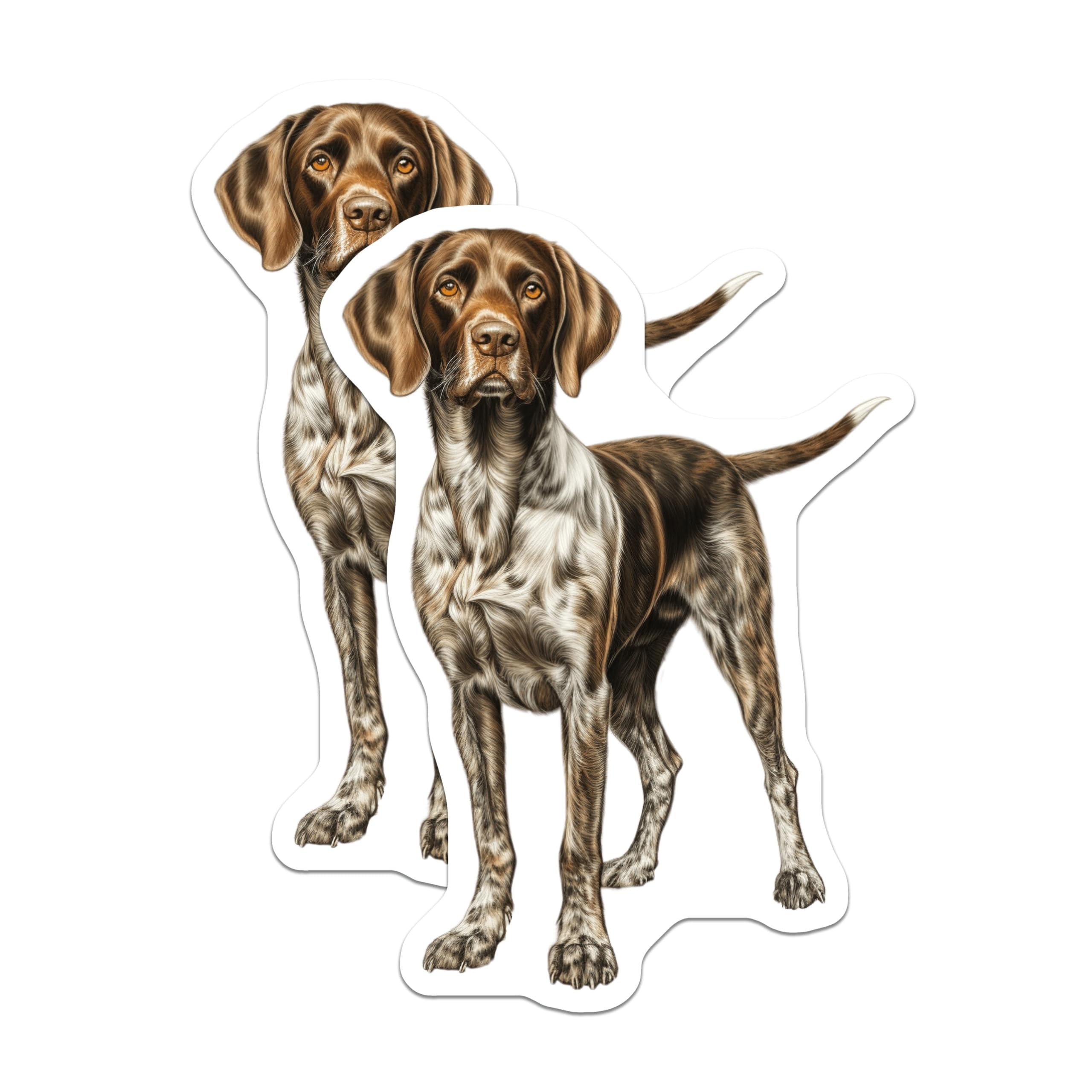 (2 Pack) German Shorthaired Pointer Magnets - Hunting Dog Decor - Dog Breed Art for Owners - 5 Inches On Longest Side - Thick Durable Magnet - Made in USA - MAG30064