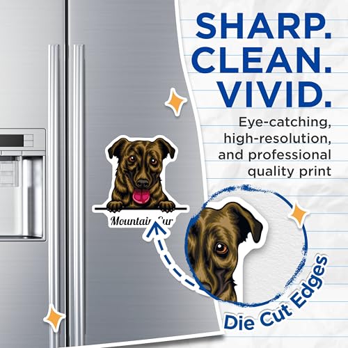 (2 Pack) Mountain Cur Magnets - Cute Dog Magnets - Pet Lover - Rustic Animal Magnets - 5" On Longest Side - for Cars, Fridges, Toolboxes - Made in USA - MAG4220