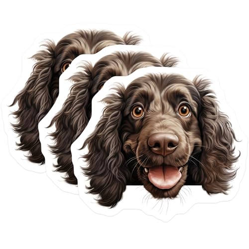 (3 Pack) Cocker Spaniel Decals - Liver Colored Dog Breed - Cute Puppy Face - 3 Inches On Longest Side - Easy Peel & Apply - Made in USA - 3MCS8650
