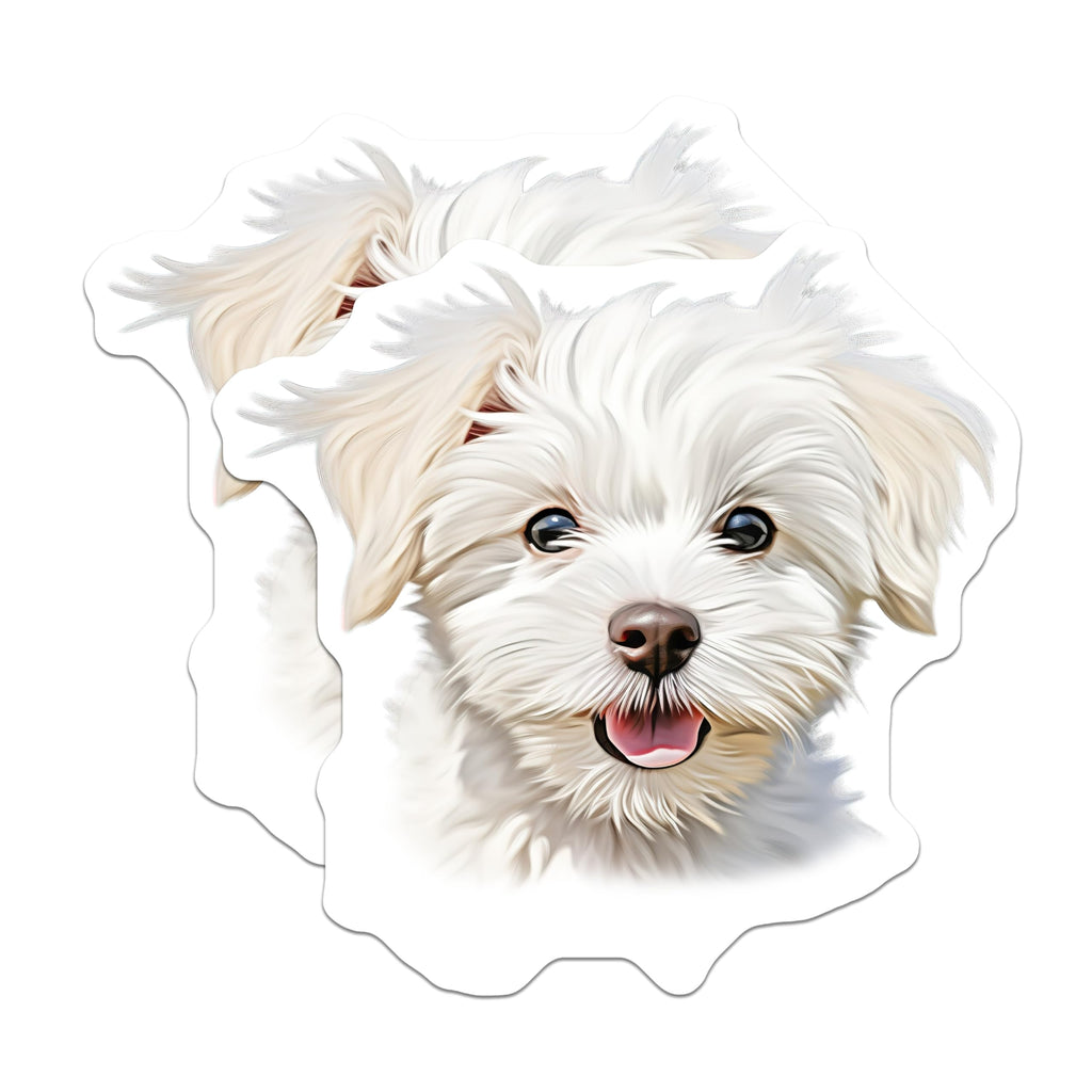 (2 Pack) Cute Maltese Puppy Magnets - Fluffy White Dog Decor - Adorable Pet Owner Refrigerator - 5 Inches On Longest Side - Thick Durable Magnet - Made in USA - MAG27565