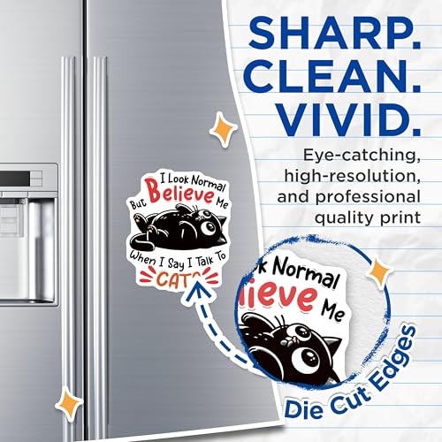 (2 Pack) Funny Cat Magnets - I Talk to Cats - 5" On Longest Side - for Cars, Fridges, Toolboxes - Made in USA - MAG7374