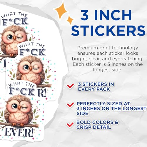 (3 Pack) Owl Decals - Funny Sarcastic Sayings - Laptop Decals - 3 Inches On Longest Side - Easy Peel & Apply - Made in USA - 3MCS4697