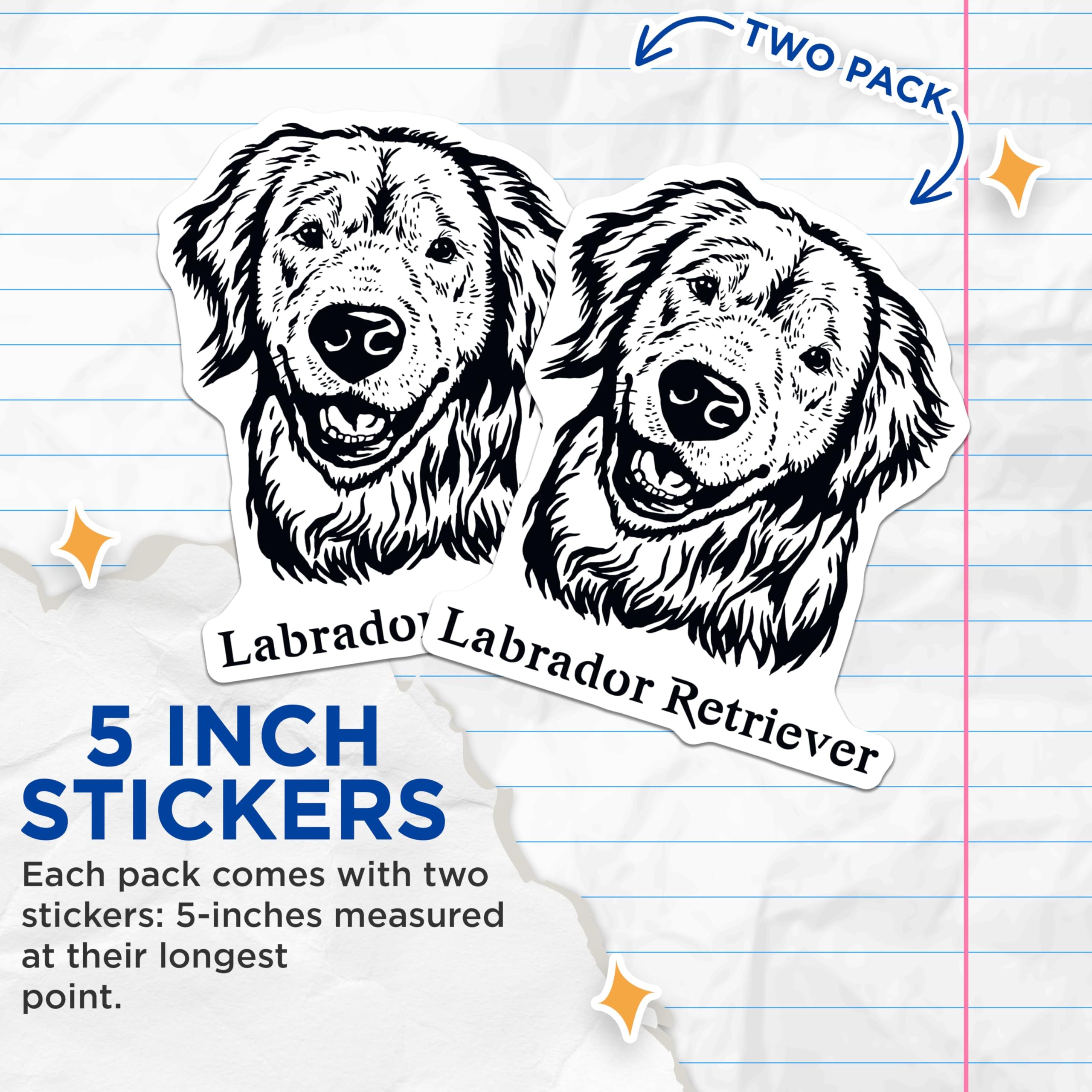 (2 Pack) Labrador Retriever Stickers - Cute Dog Decals - Animal Lover Stickers - 5" On Longest Side - Sticks to Smooth Flat Surfaces - Made in USA - BMCS4014