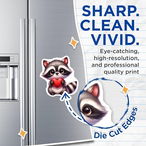 (2 Pack) Cute Raccoon Holding Heart Magnets - Adorable Animal Magnet - Kitchen - Refrigerator Magnets - 5" On Longest Side - for Cars, Fridges, Toolboxes - Made in USA - MAG3669
