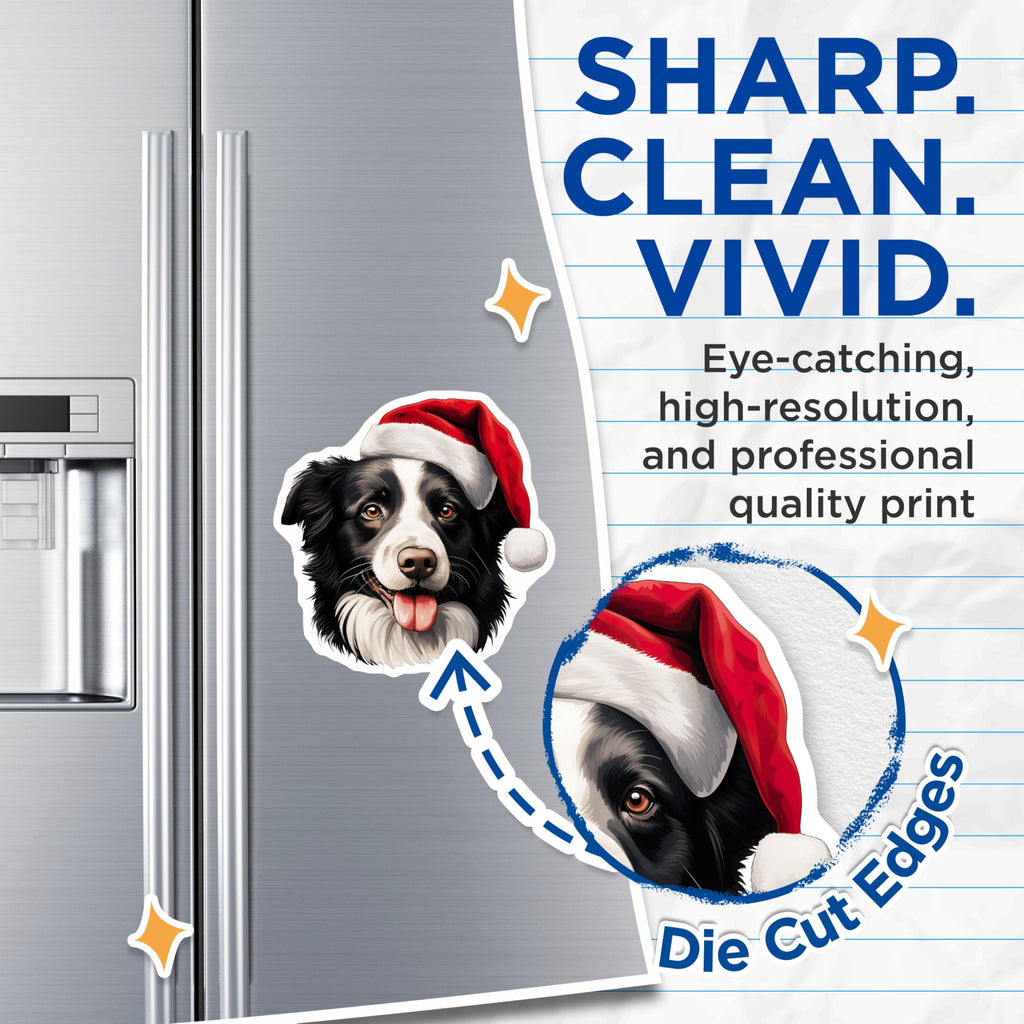 (2 Pack) Border Collie Christmas Magnets - Santa Hat Dog Decor - Holiday Pet Owner Idea - 5 Inches On Longest Side - Thick Durable Magnet - Made in USA - MAG29050