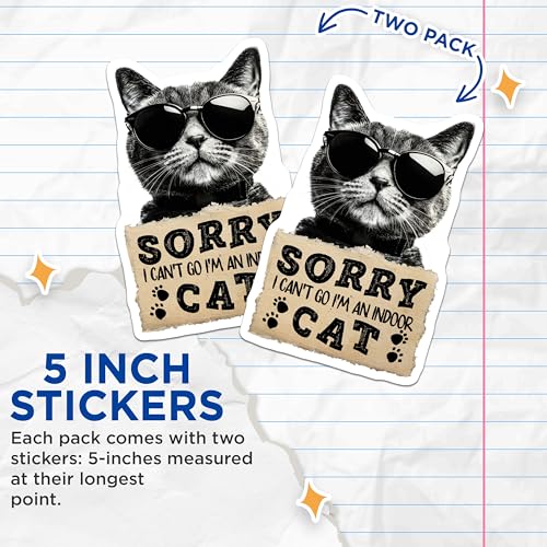 (2 Pack) Funny Cat Stickers - Indoor Cat Quote - Cute Pet Stickers - Cat Lover Stickers - Animal Humor Stickers - 5" On Longest Side - Sticks to Smooth Flat Surfaces - Made in USA - BMCS5130