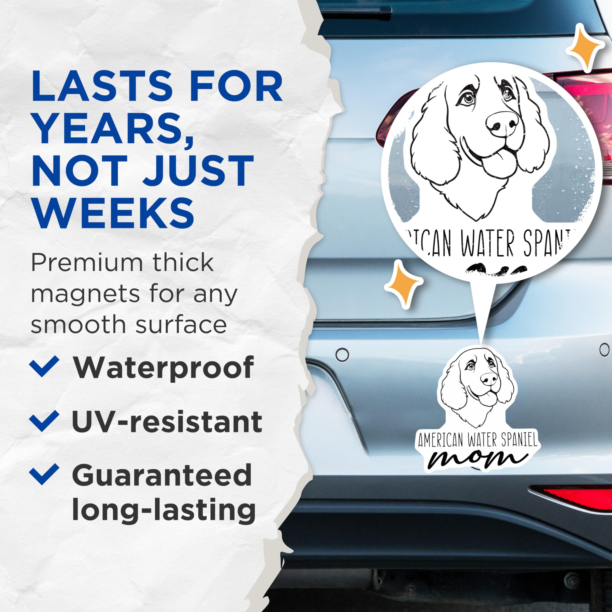 (2 Pack) American Water Spaniel Magnets - Dog Mom Refrigerator - Pet Lover Accessory - 5 Inches On Longest Side - Thick Durable Magnet - Made in USA - MAG27019