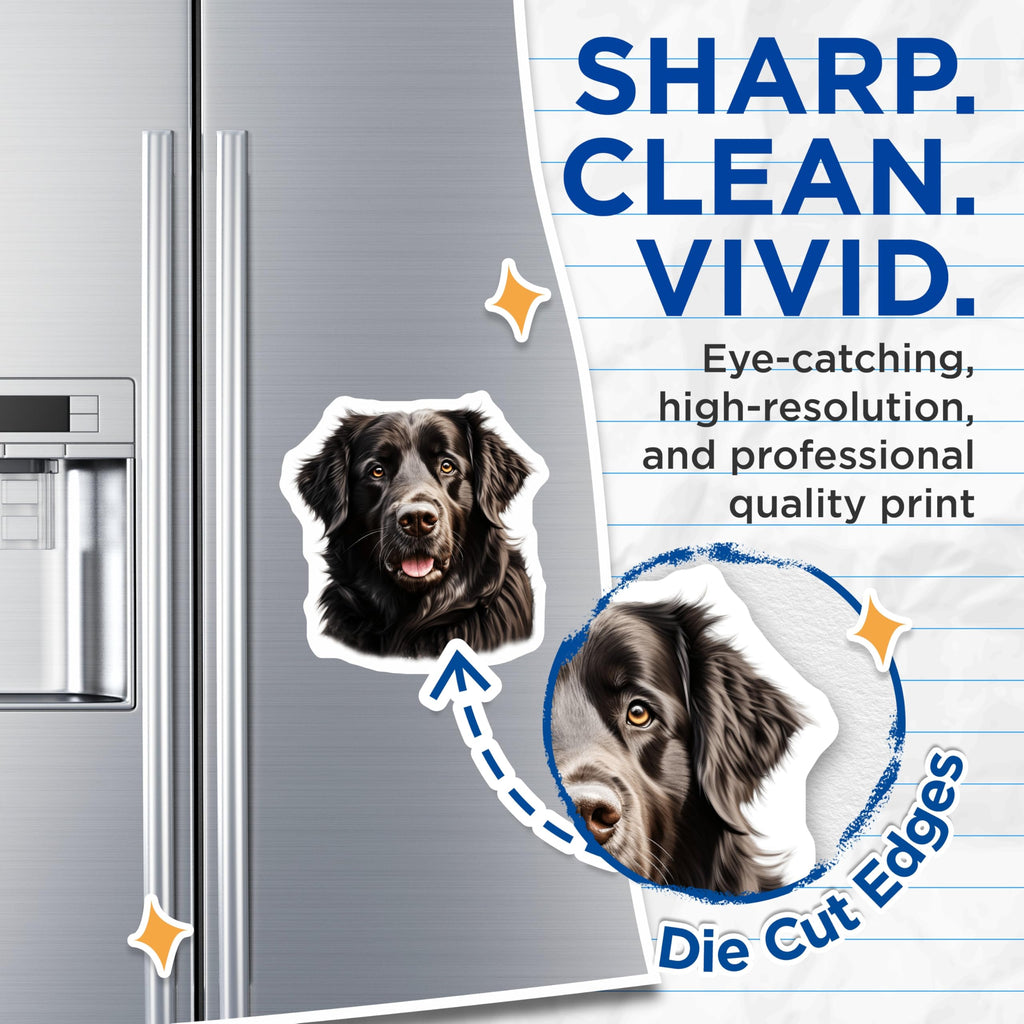 (2 Pack) Newfoundland Dog Magnets - Black Canine Decor - Pet Lover Accessory - Animal Fridge Artwork - 5 Inches On Longest Side - Thick Durable Magnet - Made in USA - MAG29192