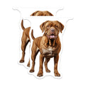 (2 Pack) Dogue de Bordeaux Dog Magnets - French Mastiff Owner Decor - Large Breed Animal Art - 5 Inches On Longest Side - Thick Durable Magnet - Made in USA - MAG30965