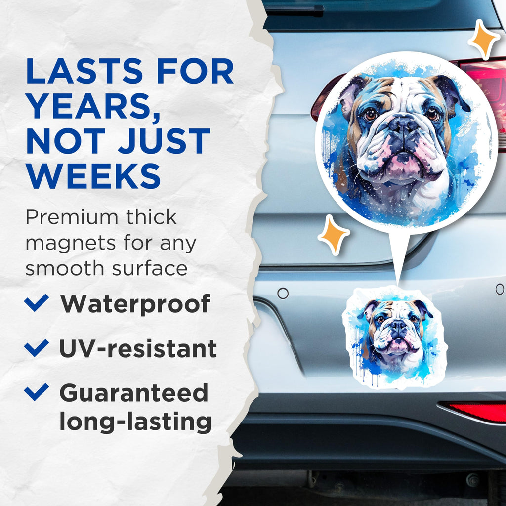 (2 Pack) English Bulldog Magnets - Watercolor Pet Portrait - Bulldog Lover Accents - 5 Inches On Longest Side - Thick Durable Magnet - Made in USA - MAG30613