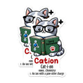 (2 Pack) Cation Magnets - Chemistry Cat Puns - 5" On Longest Side - for Cars, Fridges, Toolboxes - Made in USA - MAG8028