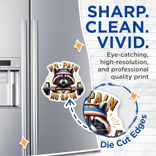 (2 Pack) No Pain No Gain Magnets - Funny Gym Motivational Magnets - Raccoon Weightlifting Art Magnets - 5" On Longest Side - for Cars, Fridges, Toolboxes - Made in USA - MAG4531