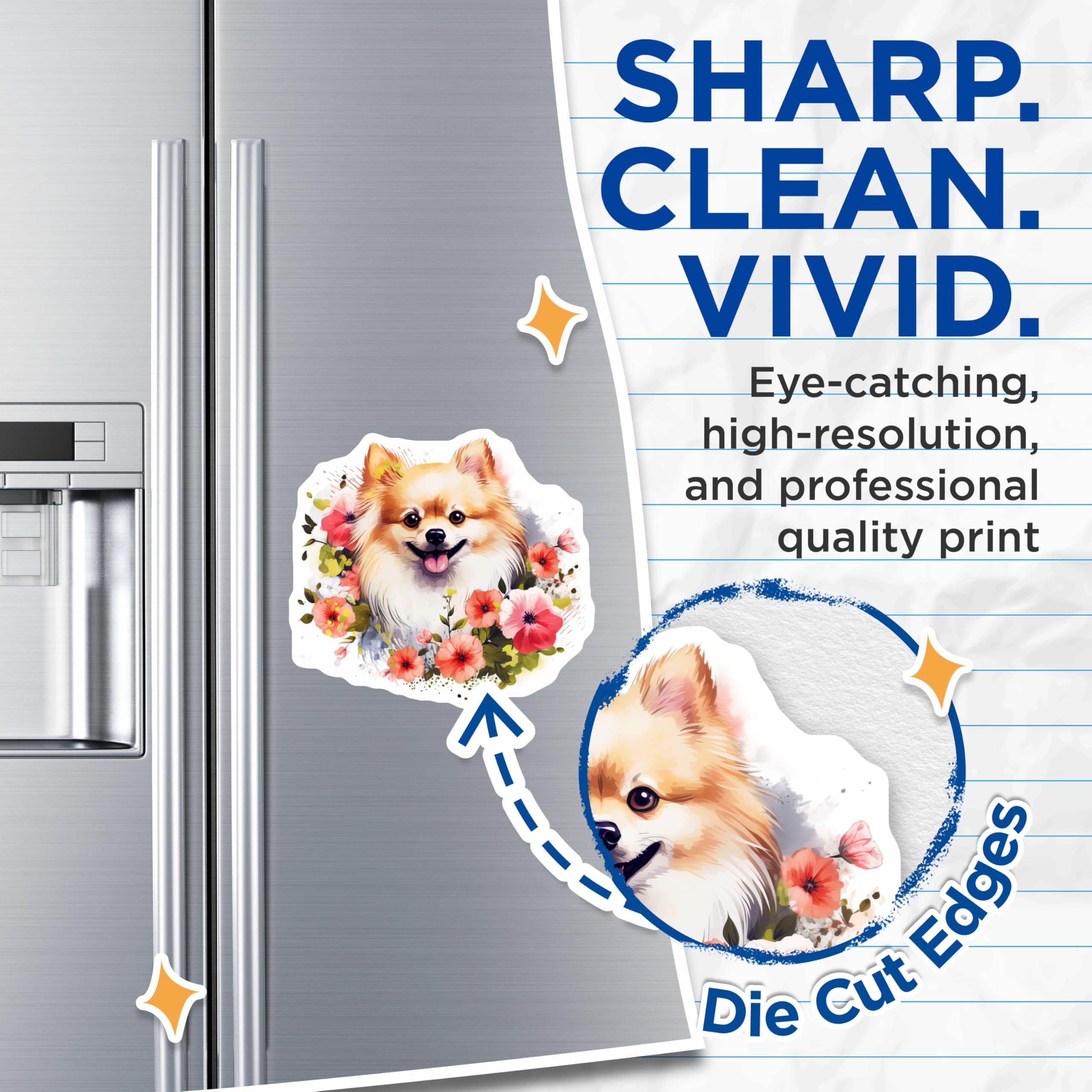(2 Pack) Pomeranian Magnets - Happy Fluffy Dog Decor - Floral Puppy Art Refrigerator Magnet - 5 Inches On Longest Side - Thick Durable Magnet - Made in USA - MAG24474