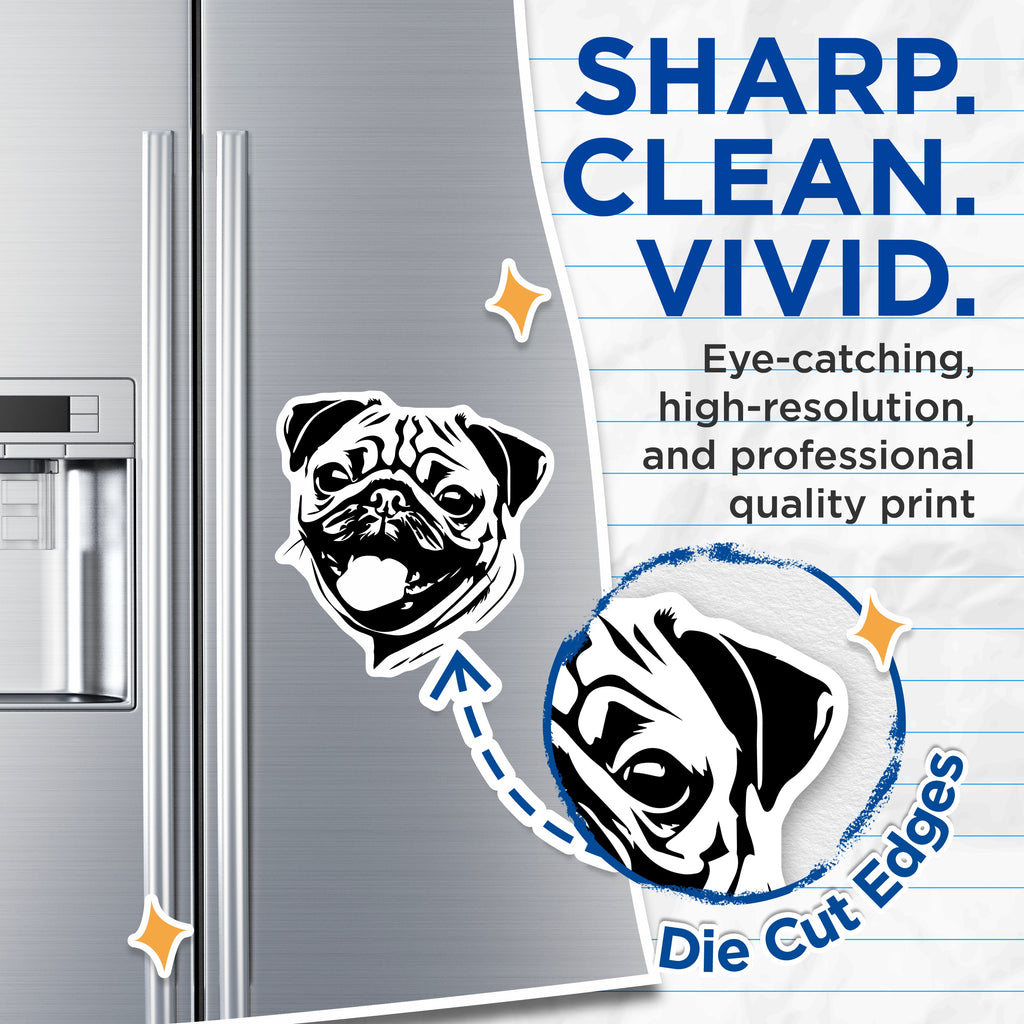 (2 Pack) Pug Dog Magnets - Cute Pet Owner Fridge Decor - Animal Lover Present Ideas - 5 Inches On Longest Side - Thick Durable Magnet - Made in USA - MAG38659