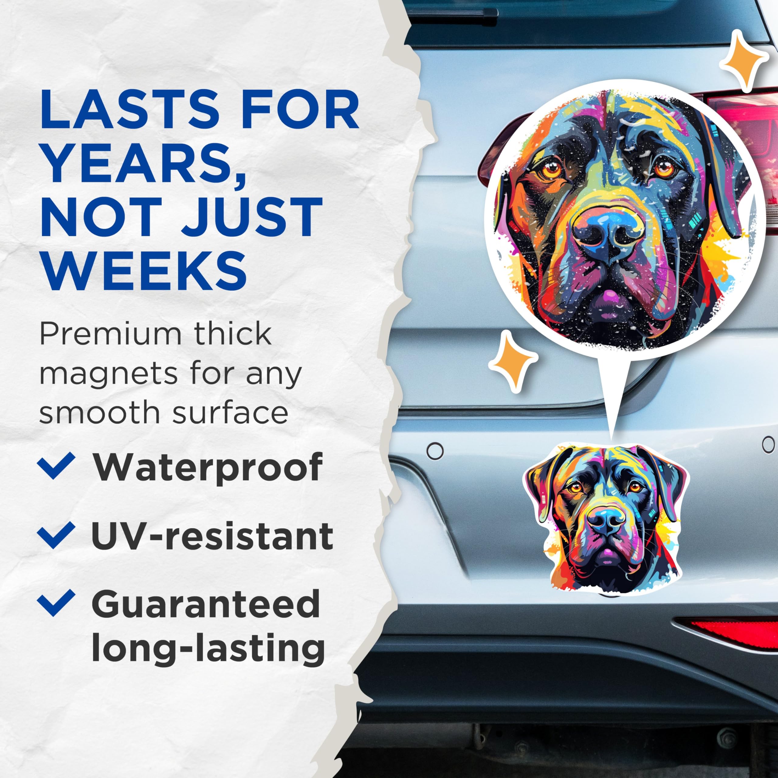 (2 Pack) Cane Corso Dog Breed Magnets - 5 Inches On Longest Side - Choose from Over 100 Dog Breeds - for Cars, Refrigerators, Toolboxes - Made in USA - MAG1811
