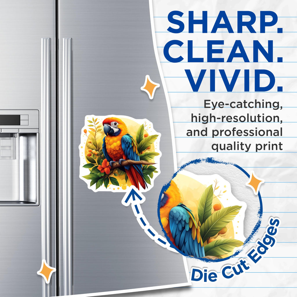 (2 Pack) Macaw Parrot Magnets - Tropical Bird Art - Vibrant Exotic Decor - Refrigerator Locker Accent - 5 Inches On Longest Side - Thick Durable Magnet - Made in USA - MAG28206