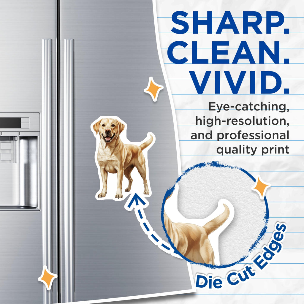 (2 Pack) Yellow Labrador Retriever Magnets - Happy Dog Owner Refrigerator Decor - Realistic Pet Art - 5 Inches On Longest Side - Thick Durable Magnet - Made in USA - MAG30237