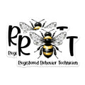 (2 Pack) Registered Behavior Technician Magnets - Bee Design Magnets - RBT Certification Magnets - 5" On Longest Side - for Cars, Refrigerators, Toolboxes, Lockers - Made in USA BMCS3167