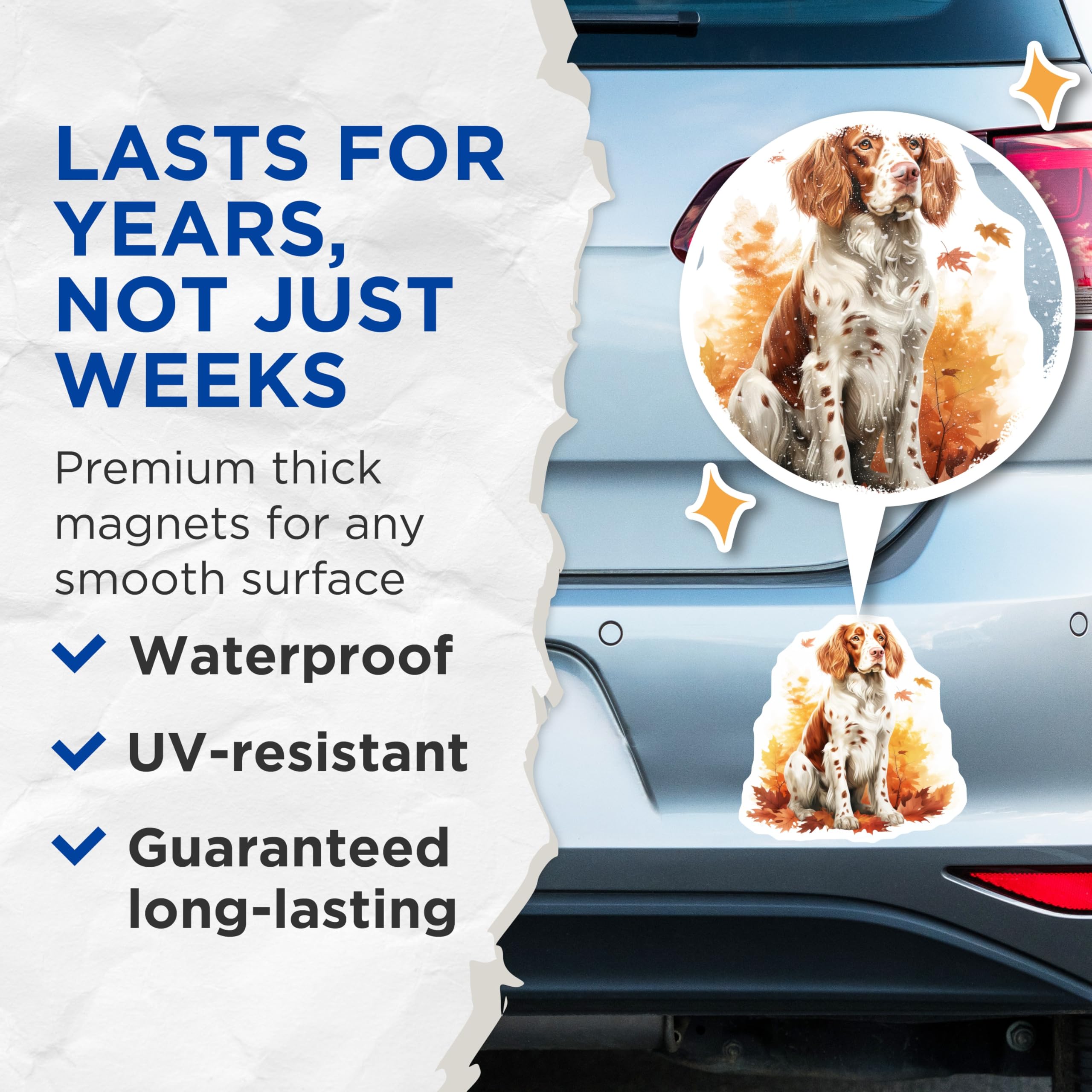 (2 Pack) Springer Spaniel Dog Magnets - Fall Leaves Aesthetic - Cozy Dog Mom Decor for Fridge and Lockers - 5 Inches On Longest Side - Thick Durable Magnet - Made in USA - MAG30796