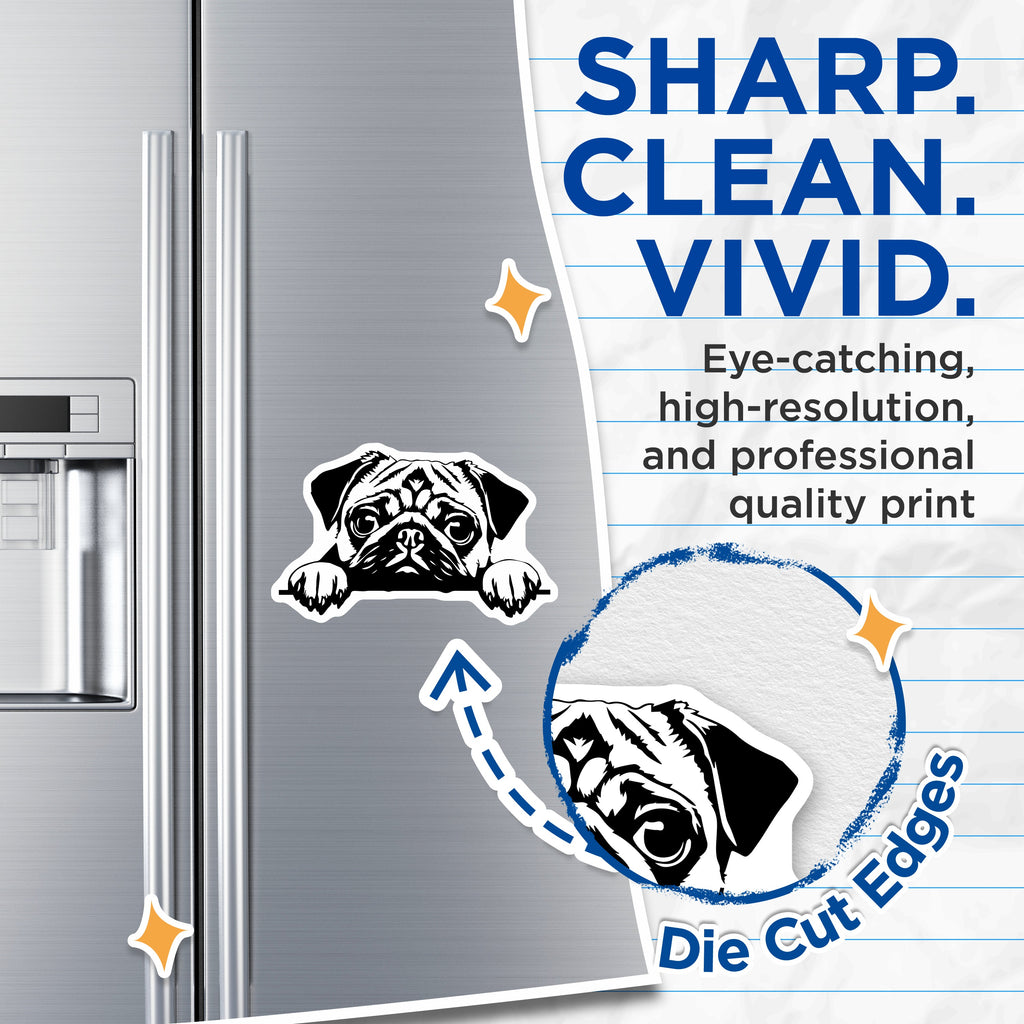 (2 Pack) Cute Pug Dog Magnets - Minimalist Pet Lover Refrigerator Decor - Funny Puppy Art for Pug Owners - 5 Inches On Longest Side - Thick Durable Magnet - Made in USA - MAG37517