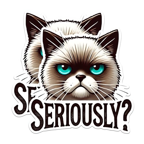 (2 Pack) Grumpy Cat Meme Stickers - Funny Cat Expression Stickers - Seriously Cat Stickers - 5" On Longest Side - Sticks to Any Smooth Flat Surface - Made in USA - BMCS2793