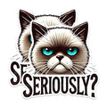 (2 Pack) Grumpy Cat Meme Stickers - Funny Cat Expression Stickers - Seriously Cat Stickers - 5" On Longest Side - Sticks to Any Smooth Flat Surface - Made in USA - BMCS2793