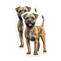 (2 Pack) Border Terrier Magnets - Dog Mom Accessories - Pet Lover Decor - Wire Haired Terrier Art - 5 Inches On Longest Side - Thick Durable Magnet - Made in USA - MAG29820