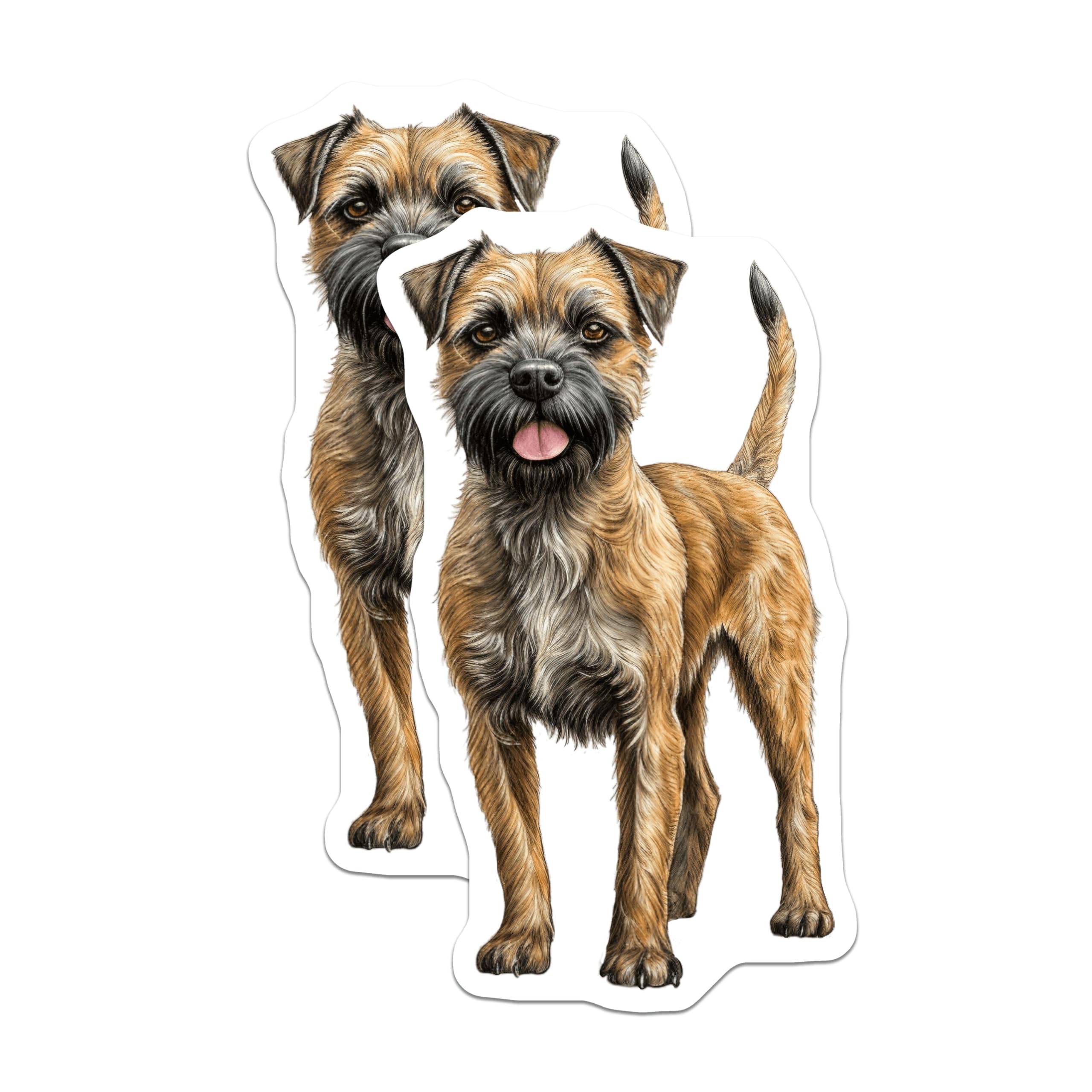 (2 Pack) Border Terrier Magnets - Dog Mom Accessories - Pet Lover Decor - Wire Haired Terrier Art - 5 Inches On Longest Side - Thick Durable Magnet - Made in USA - MAG29820