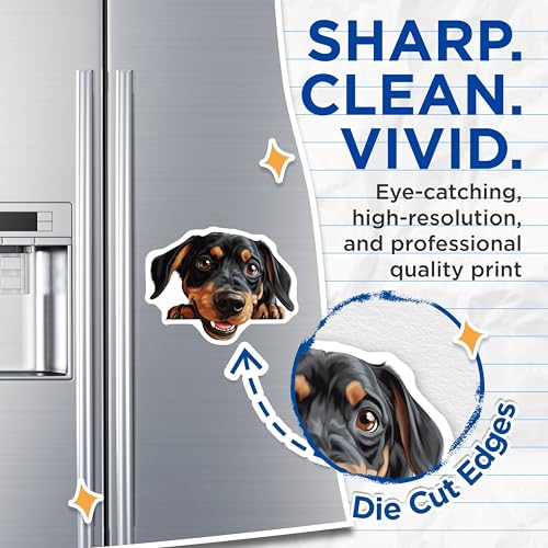 (2 Pack) Adorable Pet Decor Magnet - Cute Puppy Face - 5" On Longest Side - Sticks to Smooth Flat Surfaces - Made in USA - MAG9841
