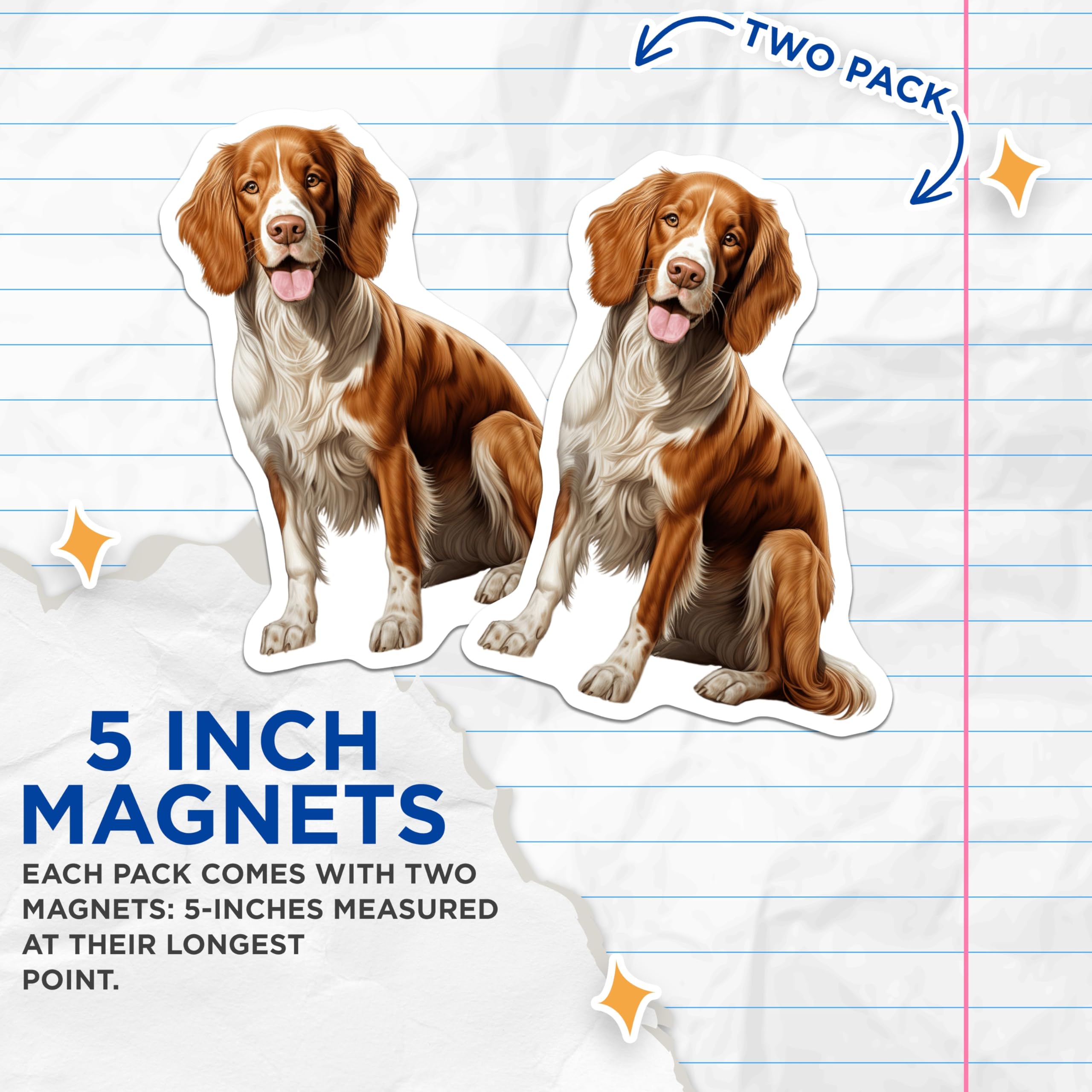 (2 Pack) Springer Spaniel Dog Magnets - Adorable Pet Lover Home Decor - Realistic Brown White Canine Art - 5 Inches On Longest Side - Thick Durable Magnet - Made in USA - MAG29319