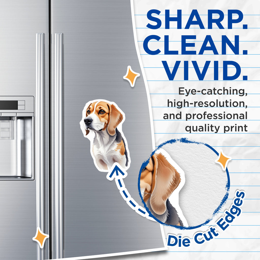 (2 Pack) Beagle Dog Magnets - Cute Pet Art Magnet - Dog Lover Refrigerator Decor - Animal Illustration Magnets for Fridge or Locker - 5" - Thick Durable Magnet - Made in USA - MAG39185