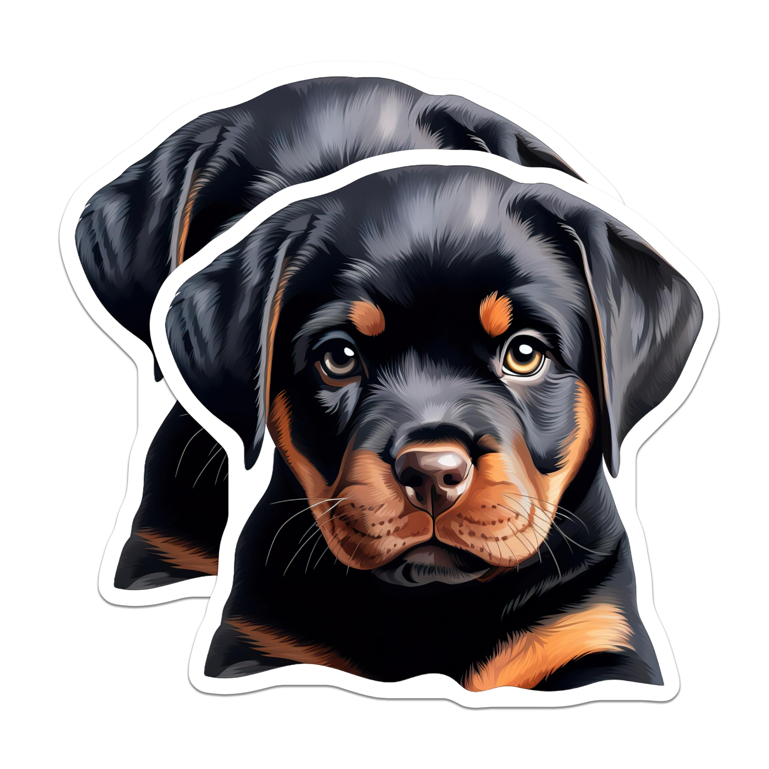(2 Pack) Rottweiler Puppy Magnets - Adorable Dog Breed Art - Cute Canine Pet Lover Collectible - Animal Themed Fridge Decor - 5 Inches On Longest Side - Thick Durable Magnet - Made in USA - MAG23443