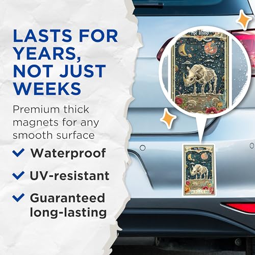 (2 Pack) The Rhino Magnets - Skeleton Rhino - Cosmic Animal Art - 5" On Longest Side - for Cars, Fridges, Toolboxes - Made in USA - MAG3674