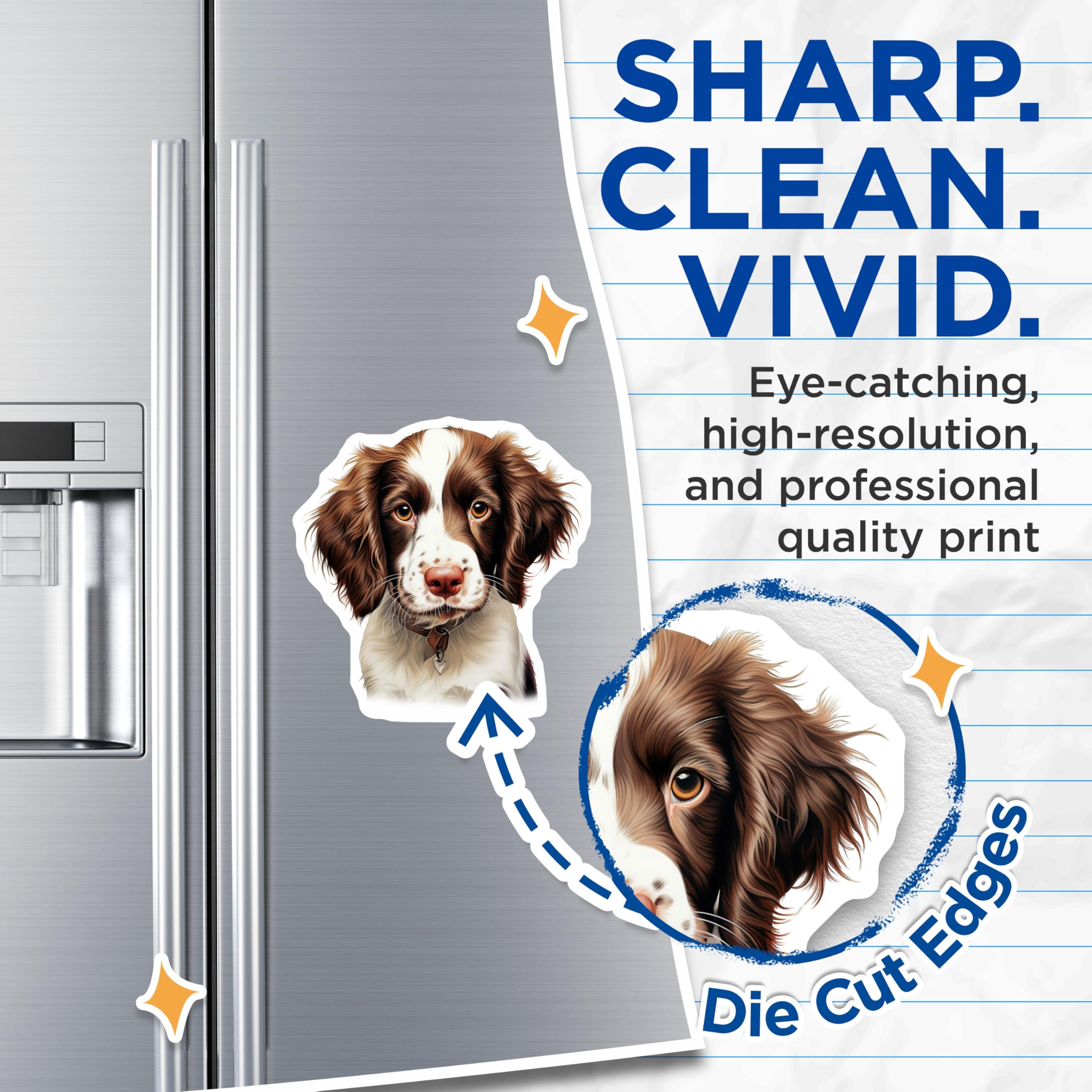 (2 Pack) Cute Springer Spaniel Puppy Magnets - Charming Dog Lover Refrigerator Decor - Pet Owner Kitchen Accessory Magnets - 5 Inches On Longest Side - Thick Durable Magnet - Made in USA - MAG23700