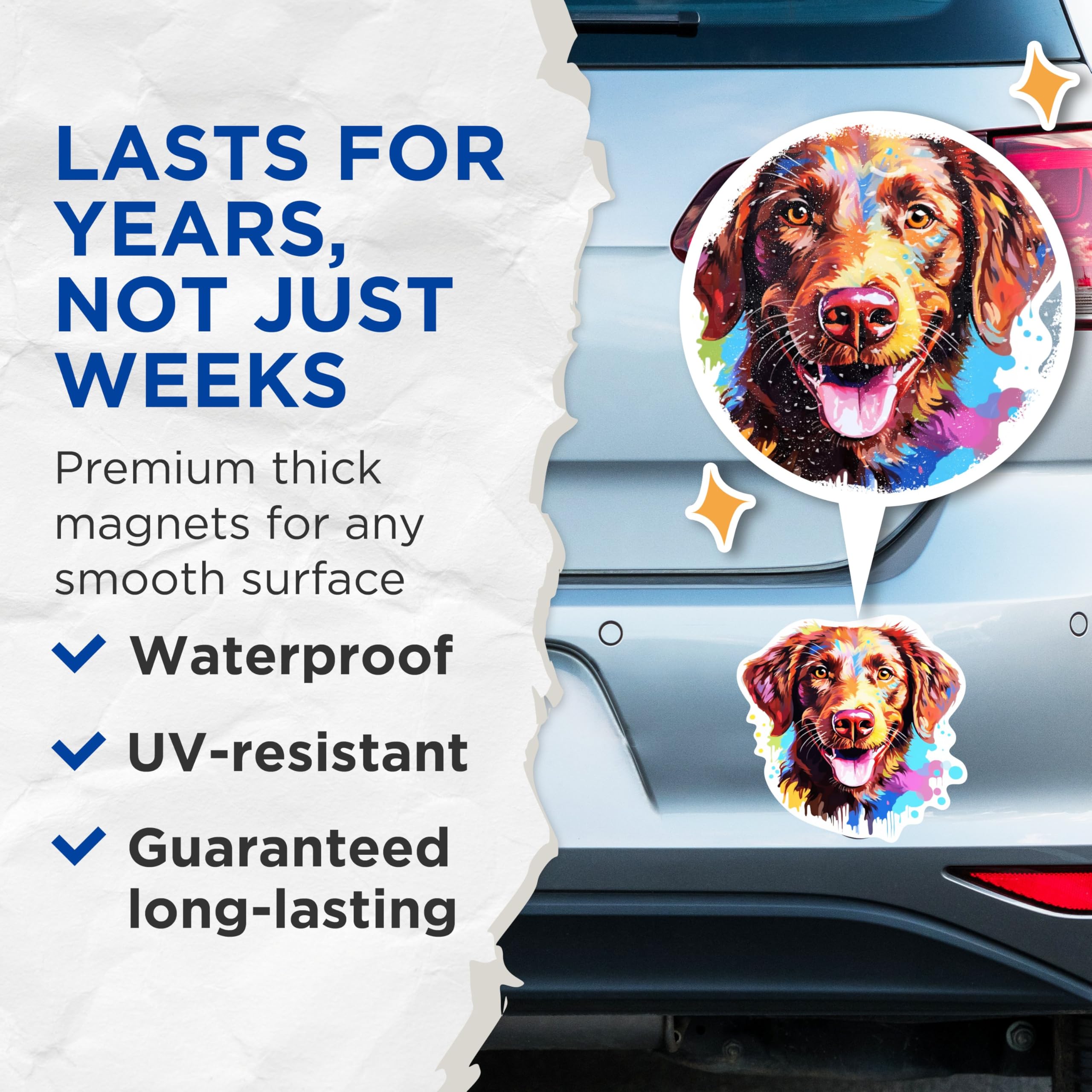 (2 Pack) Chesapeake Bay Retriever Dog Breed Magnets - 5 Inches On Longest Side - Choose from Over 100 Dog Breeds - for Cars, Refrigerators, Toolboxes - Made in USA - MAG1822