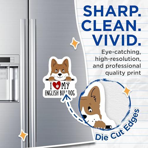 (2 Pack) I Love My English Bulldog Magnets - Cute Dog Lover Fridge - Bulldog Enthusiast Home Accessory - 5" On Longest Side - for Cars, Fridges, Toolboxes - Made in USA - MAG4304